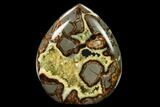 Polished Utah Septarian Flame - Beautiful Crystals #170018-3
